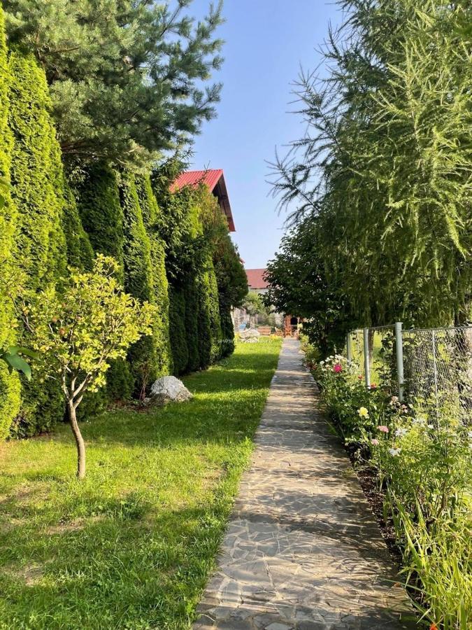 Vila Madisa Buşteni Exteriör bild